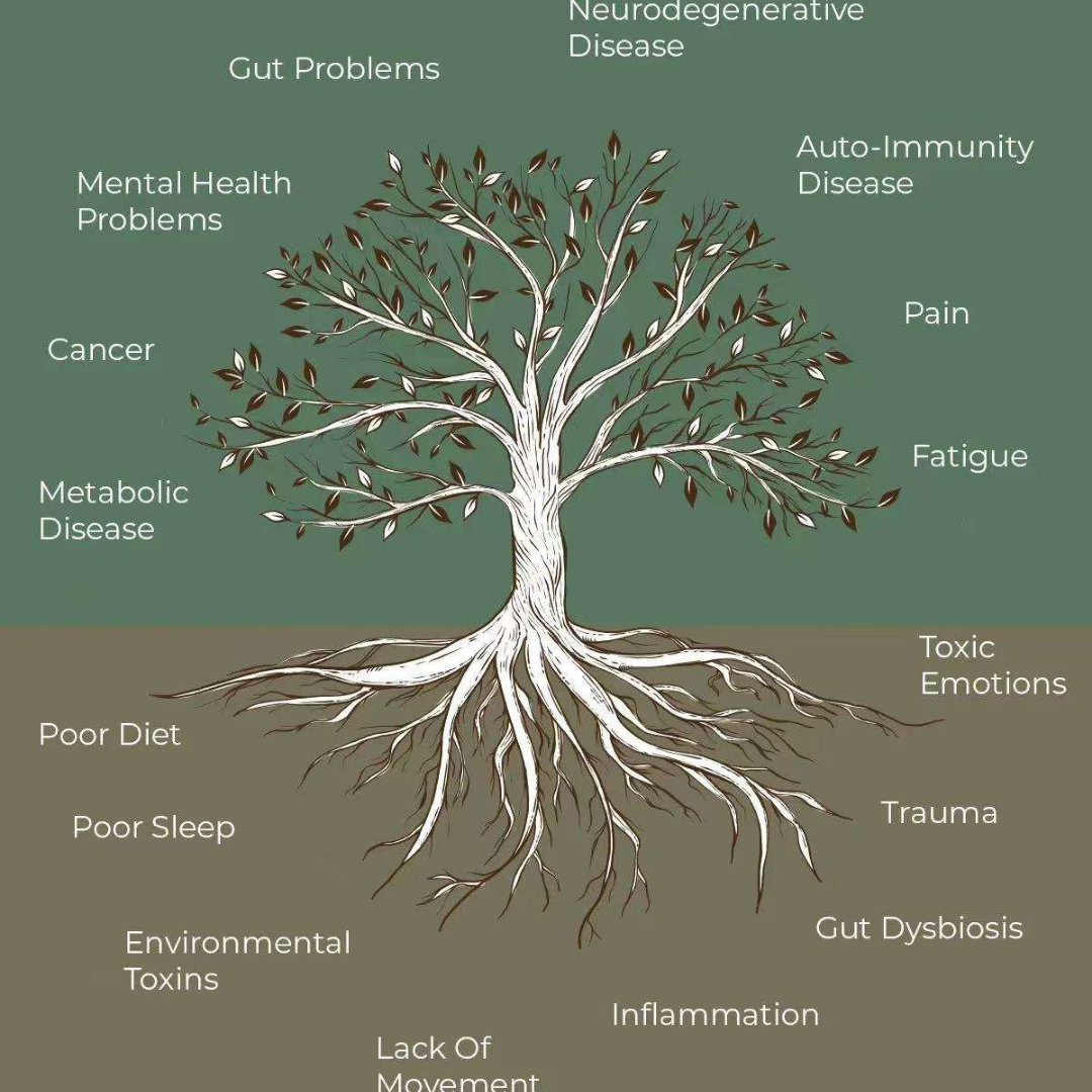 Root Cause Tree
